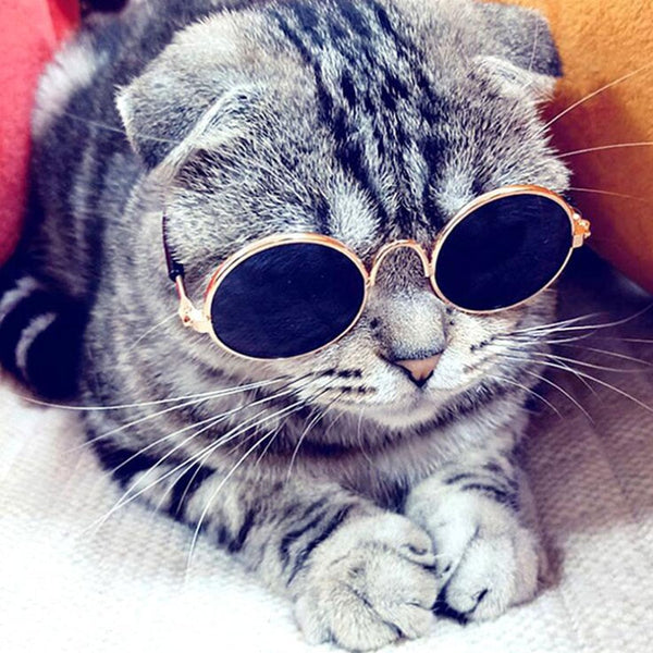 Pet Products Lovely Vintage Round Cat Sunglasses Reflection Eye wear glasses For Small Dog Cat Pet Photos Props Accessories